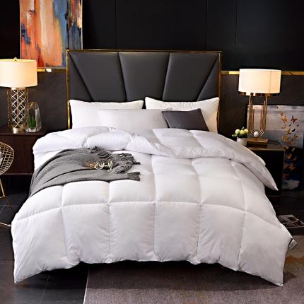 羽丝绒冬被春秋被加厚冬被羽丝绒被被褥