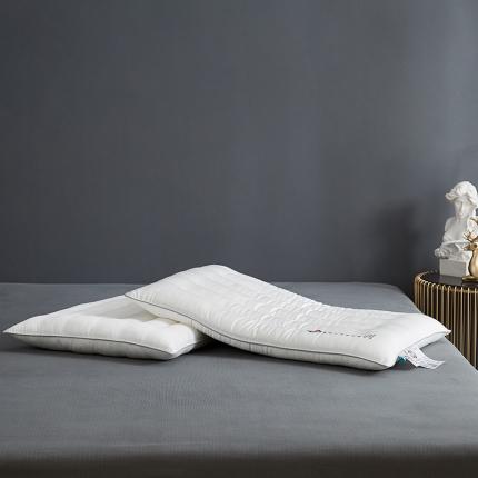 91家纺网 家纺一手货源 找家纺 （总）昕科 2021新款德国壳恩士抗菌枕48*74cm