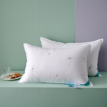 91家纺网 家纺一手货源 找家纺 赛格时代家居 双针压线 水之谜单边亲肤枕 枕芯