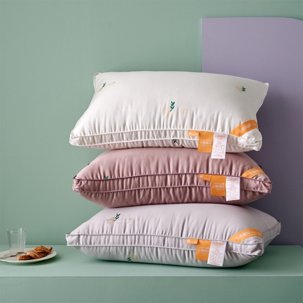 （总）赛格时代家居  生姜暖绒绣花立体羽丝绒枕