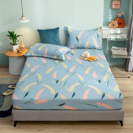 绵庭 2021新款全棉12868单床笠 麦香（兰）