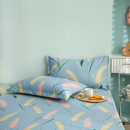 绵庭 2021新款全棉12868单枕套 麦香（兰）