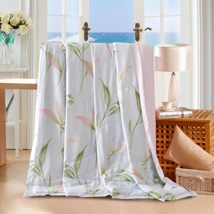 91家纺网 家纺一手货源 找家纺 （总）朵美 2022新款天丝印花夏被