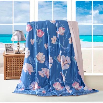 91家纺网 家纺一手货源 找家纺 （总）朵美 2022新款天丝印花夏被