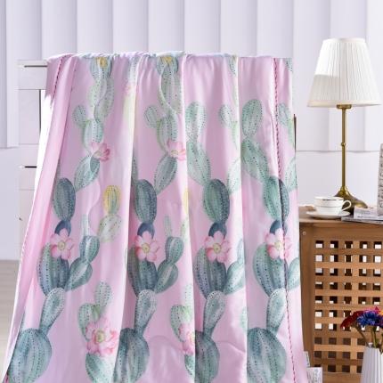 91家纺网 家纺一手货源 找家纺 （总）朵美 2022新款天丝印花夏被