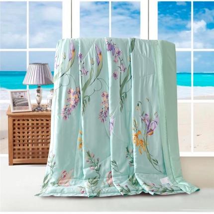 91家纺网 家纺一手货源 找家纺 （总）朵美 2022新款天丝印花夏被