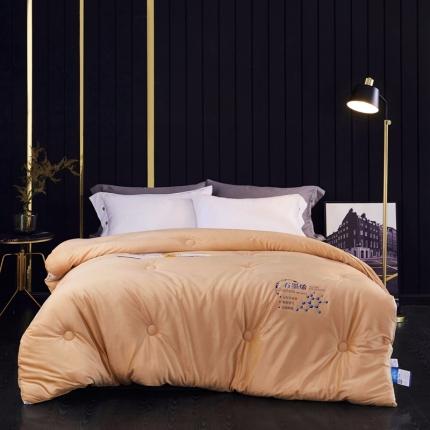 91家纺网 家纺一手货源 找家纺 2020新款石墨烯抗菌远红外加厚保暖臻丝绒冬被被子被芯土豪金