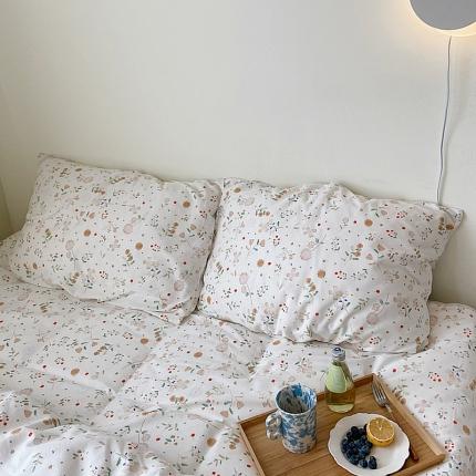 91家纺网 家纺一手货源 找家纺 尺素 2021新款Ins韩国博主系列单枕套/只INS小雅全花