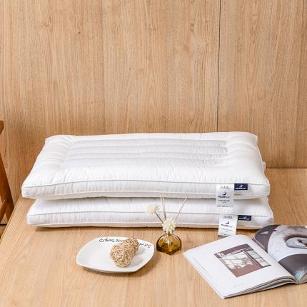 伟邦枕芯 2021新款荞麦立体低枕枕芯
