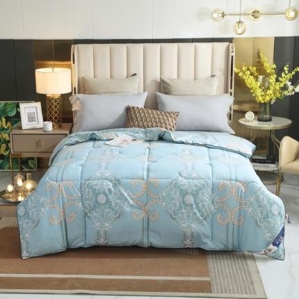 91家纺网 家纺一手货源 找家纺 招财星家纺 2025新款全棉被-无模特 湖光映月-碧绿