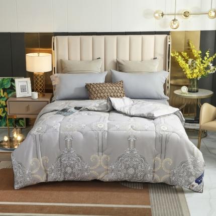 91家纺网 家纺一手货源 找家纺 招财星家纺 2025新款全棉被-无模特 湖光映月-格调灰