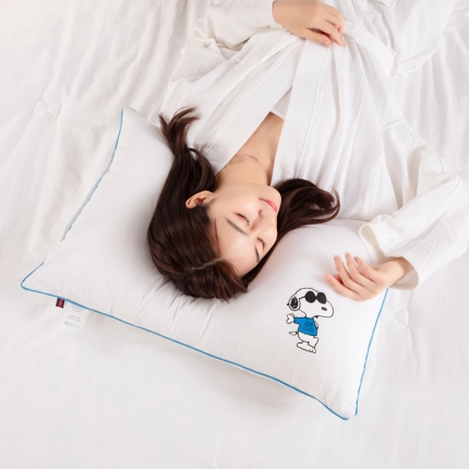 91家纺网 家纺一手货源 找家纺 仁宇枕业 2021新款枕芯爆款枕头系列