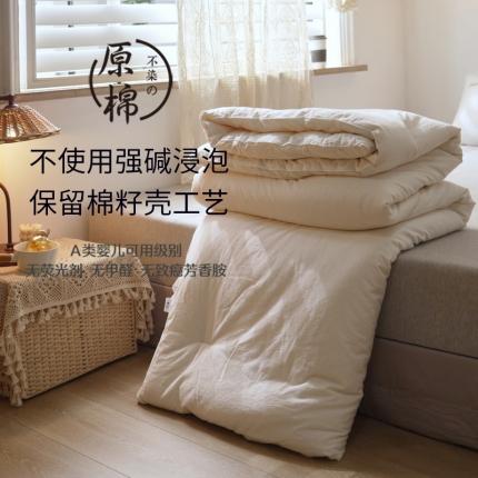 巴宝路2021新款A类平纹原棉日式大豆被夏被春秋被冬被