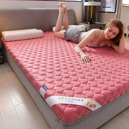 伊先生 2023年新款艾草床垫硬质棉 艾草单边款-粉色6cm