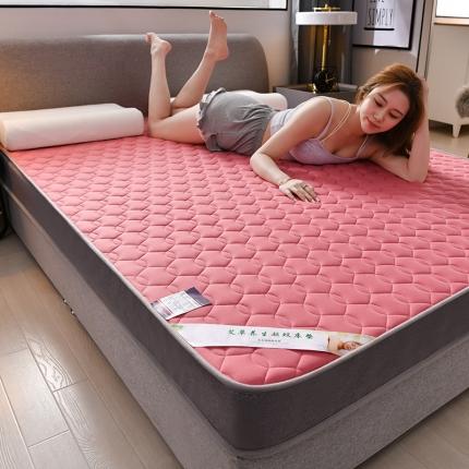 伊先生2023年新款艾草床垫硬质棉 艾草立体款-粉色10cm