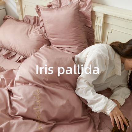 91家纺网 家纺一手货源 找家纺 六巷胡同 2021新款法式小清新60长绒棉系列四件套 西梅红