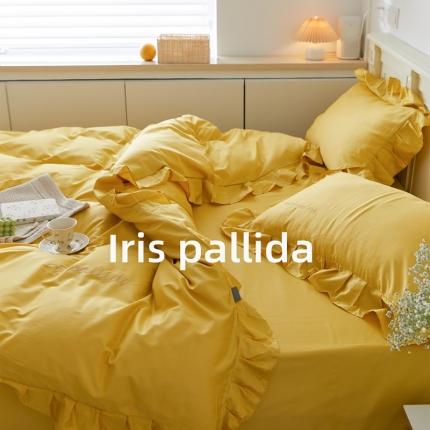 91家纺网 家纺一手货源 找家纺 （总）六巷胡同 2021新款法式小清新60长绒棉系列四件套