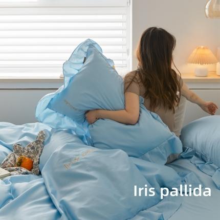 91家纺网 家纺一手货源 找家纺 （总）六巷胡同 2021新款法式小清新60长绒棉系列四件套