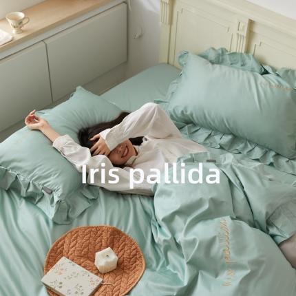 91家纺网 家纺一手货源 找家纺 （总）六巷胡同 2021新款法式小清新60长绒棉系列四件套