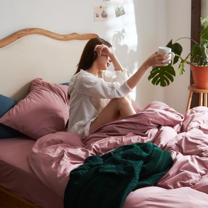 涞澳家纺 2021新款针织棉四件套南琴