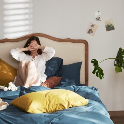 涞澳家纺 2021新款针织棉四件套语兰