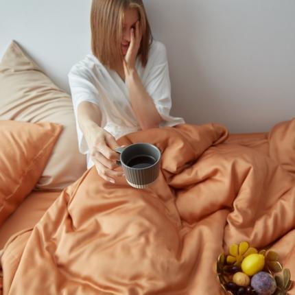 91家纺网 家纺一手货源 找家纺 （总）涞澳家居 2021新款60天丝纯色四件套