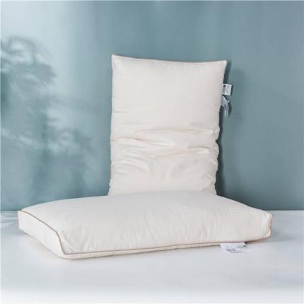 （总）星芯合家纺 2024新款西域阳光棉胎枕