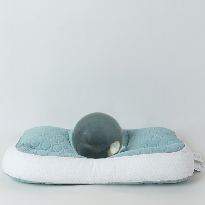 91家纺网 家纺一手货源 找家纺 （总）多点家居 2021新款吸湿排汗枕