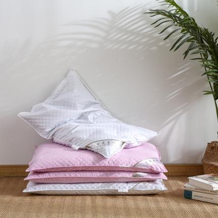 （总）逸林枕芯 2021新款全棉绗绣纯色荞麦枕
