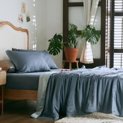 91家纺网 家纺一手货源 找家纺 （总）涞澳家纺 2021新款60天丝纯色夏被四件套