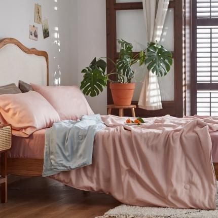 91家纺网 家纺一手货源 找家纺 （总）涞澳家纺 2021新款60天丝纯色夏被四件套