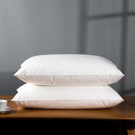 星芯合家纺 2024新款依沃珑枕芯 依沃珑单枕48*74