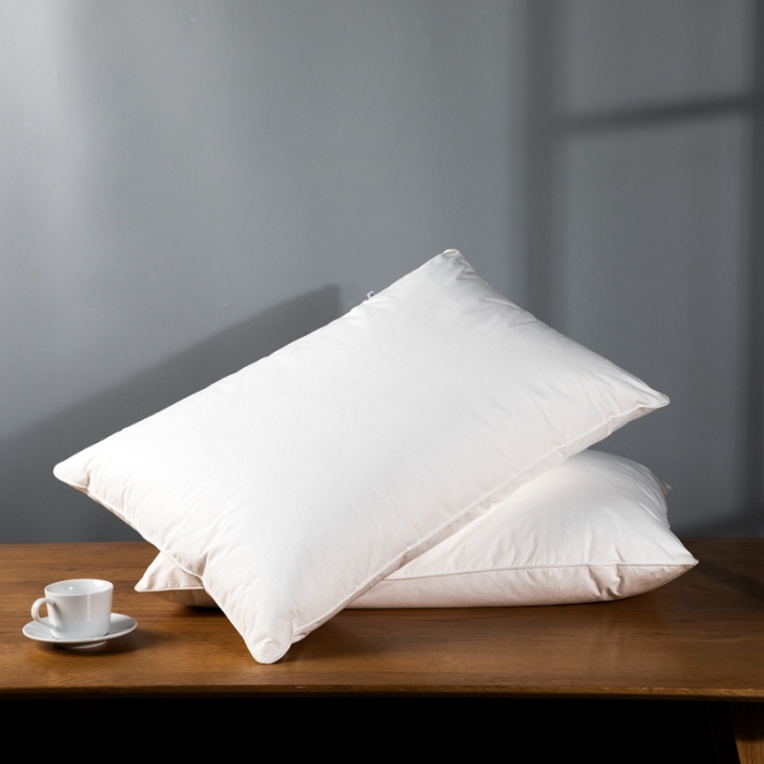 91家纺网 家纺一手货源 找家纺 星芯合家纺 2024新款依沃珑枕芯 依沃珑单枕48*74