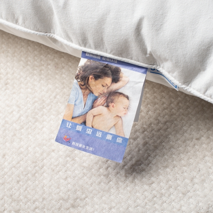 91家纺网 家纺一手货源 找家纺 星芯合家纺 2024新款依沃珑枕芯 依沃珑单枕48*74