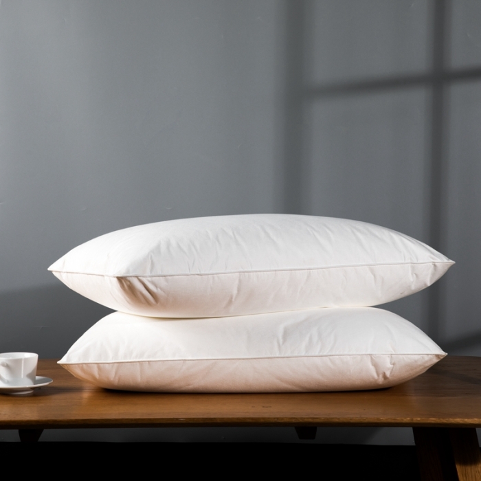 91家纺网 家纺一手货源 找家纺 星芯合家纺 2024新款依沃珑枕芯 依沃珑单枕48*74