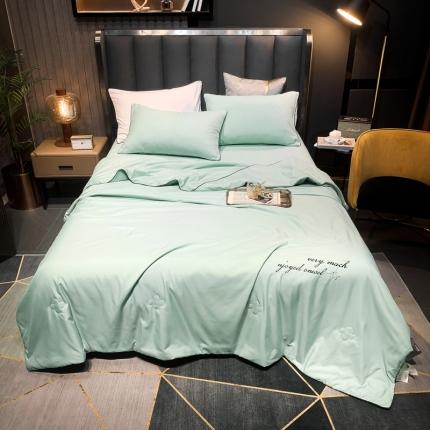 91家纺网 家纺一手货源 找家纺 头等舱2022四季棉A类大豆抗菌防螨夏被四件套星辰 星辰浅绿-实拍图