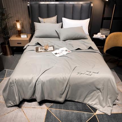 91家纺网 家纺一手货源 找家纺 头等舱2022四季棉A类大豆抗菌防螨夏被四件套星辰 星辰银灰-实拍图