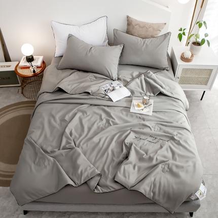 91家纺网 家纺一手货源 找家纺 头等舱2022四季棉A类大豆抗菌防螨夏被四件套星辰 星辰银灰-棚拍图