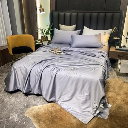 91家纺网 家纺一手货源 找家纺 （总）头等舱2022全棉100支A类大豆抗菌防螨夏被四件套