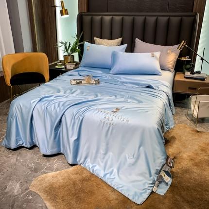 91家纺网 家纺一手货源 找家纺 （总）头等舱2022全棉100支A类大豆抗菌防螨夏被四件套