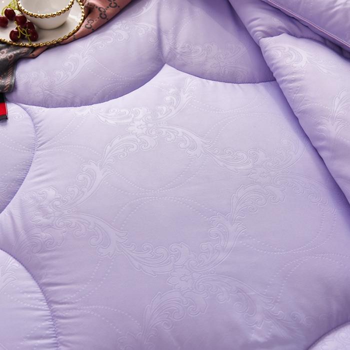 91家纺网 家纺一手货源 找家纺 （总） 2021新款磨毛压花被春秋被冬被子夏凉被空调被芯