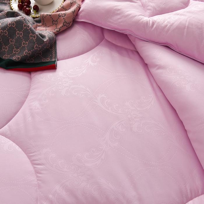 91家纺网 家纺一手货源 找家纺 （总）2021磨毛新款压花被春秋被冬被子夏凉被空调被芯