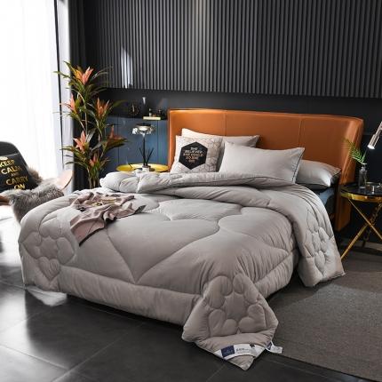 （总） 2021新款磨毛压花被春秋被冬被子夏凉被空调被芯