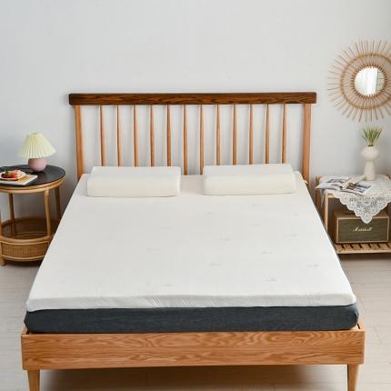 （总）李龙纺织品厂 2021新款床垫记忆枕