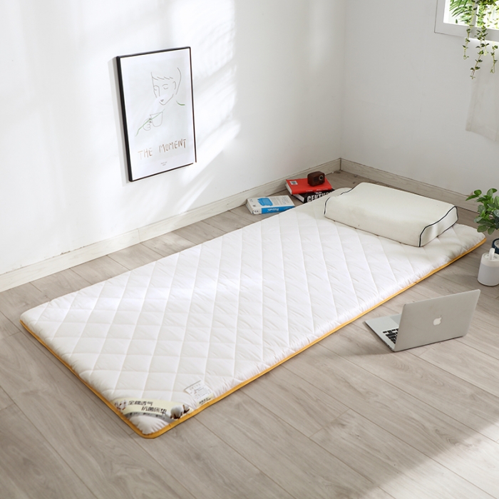 91家纺网 家纺一手货源 找家纺 亿丁点床垫 2021新款全棉大豆纤维小床垫 全棉大豆纤维-白色