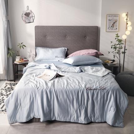 91家纺网 家纺一手货源 找家纺 （总）梦镜家纺 2025新款纯色刺绣花轻奢水洗真丝夏被