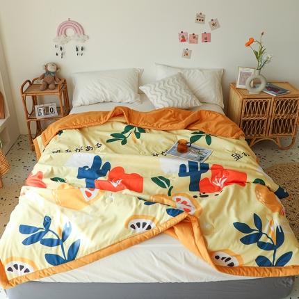 91家纺网 家纺一手货源 找家纺 （总）薇玛仕2023新款洛卡棉夏凉被空调被