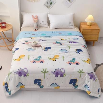 91家纺网 家纺一手货源 找家纺 （总）德芙家纺 2021新款纯棉印花夏被