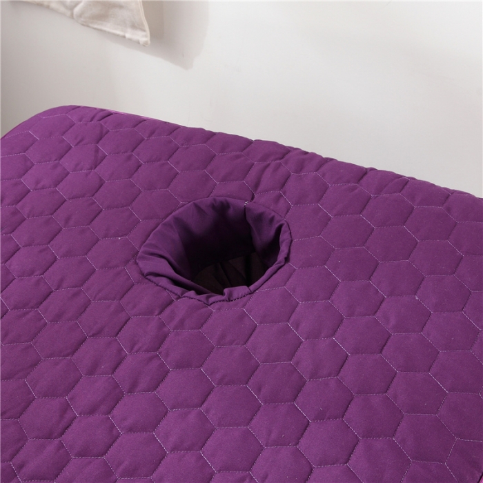 91家纺网 家纺一手货源 找家纺 乐逸家纺 2023新款亲肤款刺绣美容床罩 亲肤韩版刺绣款 深紫