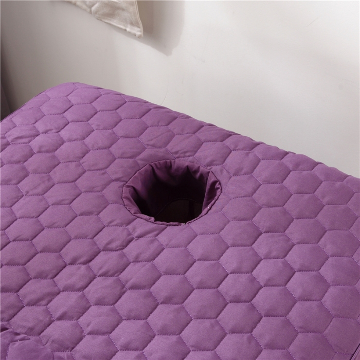 91家纺网 家纺一手货源 找家纺 乐逸家纺 2023新款亲肤款刺绣美容床罩 亲肤韩版刺绣款 香槟紫